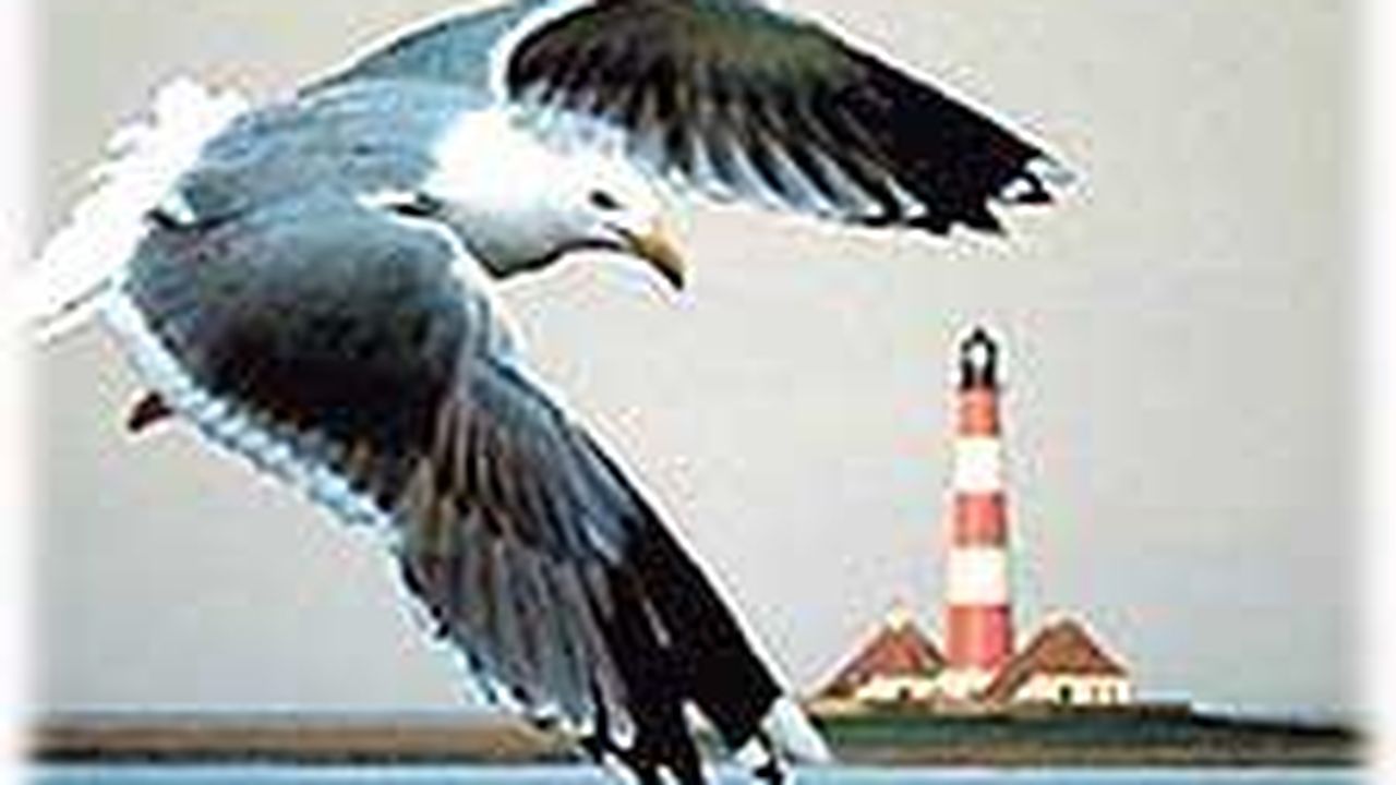 Wasser, Wind und Meer .... Wasser, Wind und Meer ....